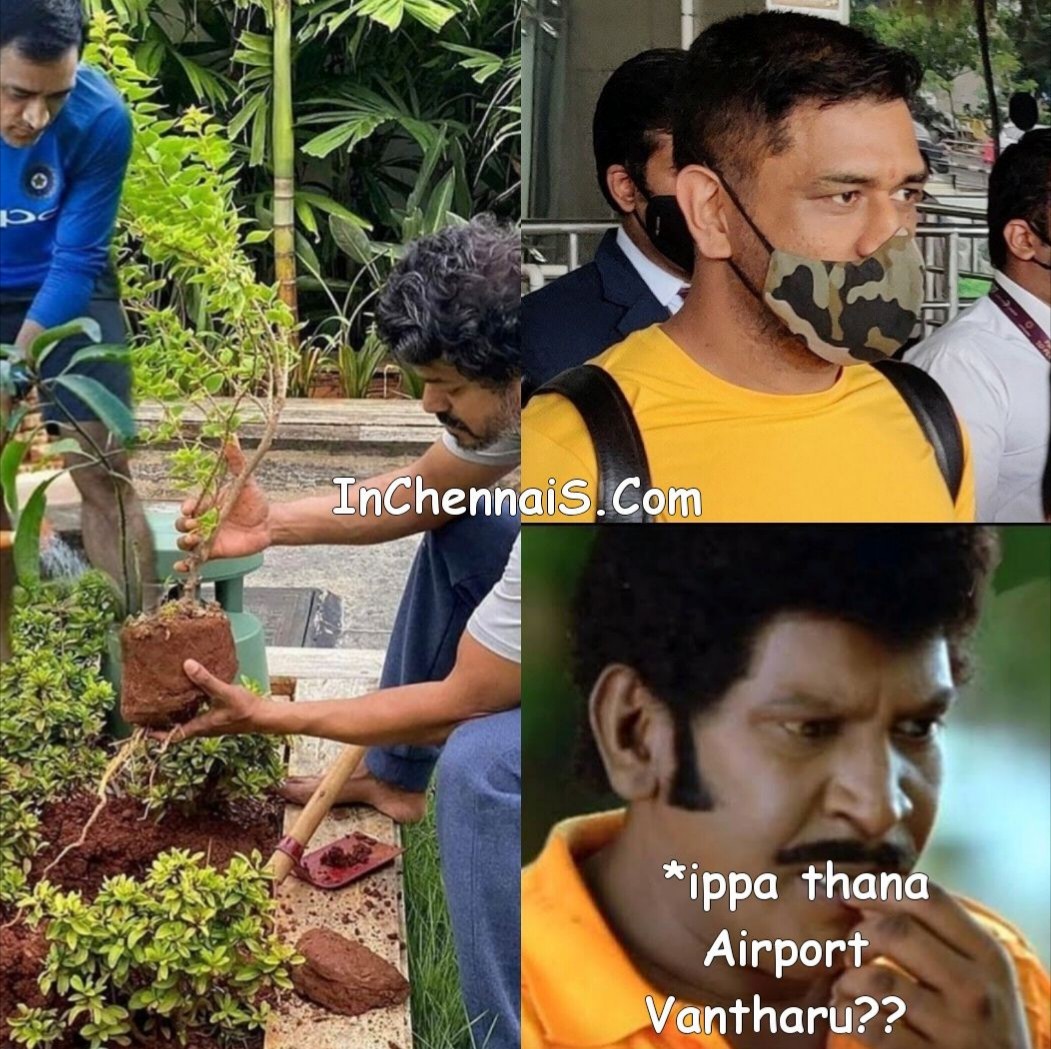 VIjay and Dhoni Planting Tree meme