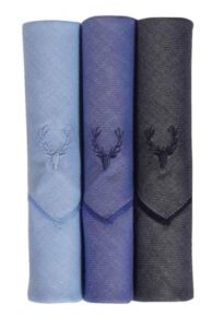 Allen Solly Mens Handkerchiefs