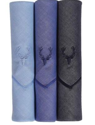 Allen Solly Mens Handkerchiefs